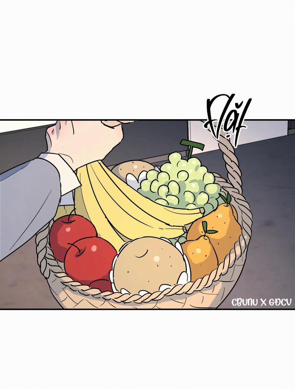 Cây Không Có Rễ 16 trang 2