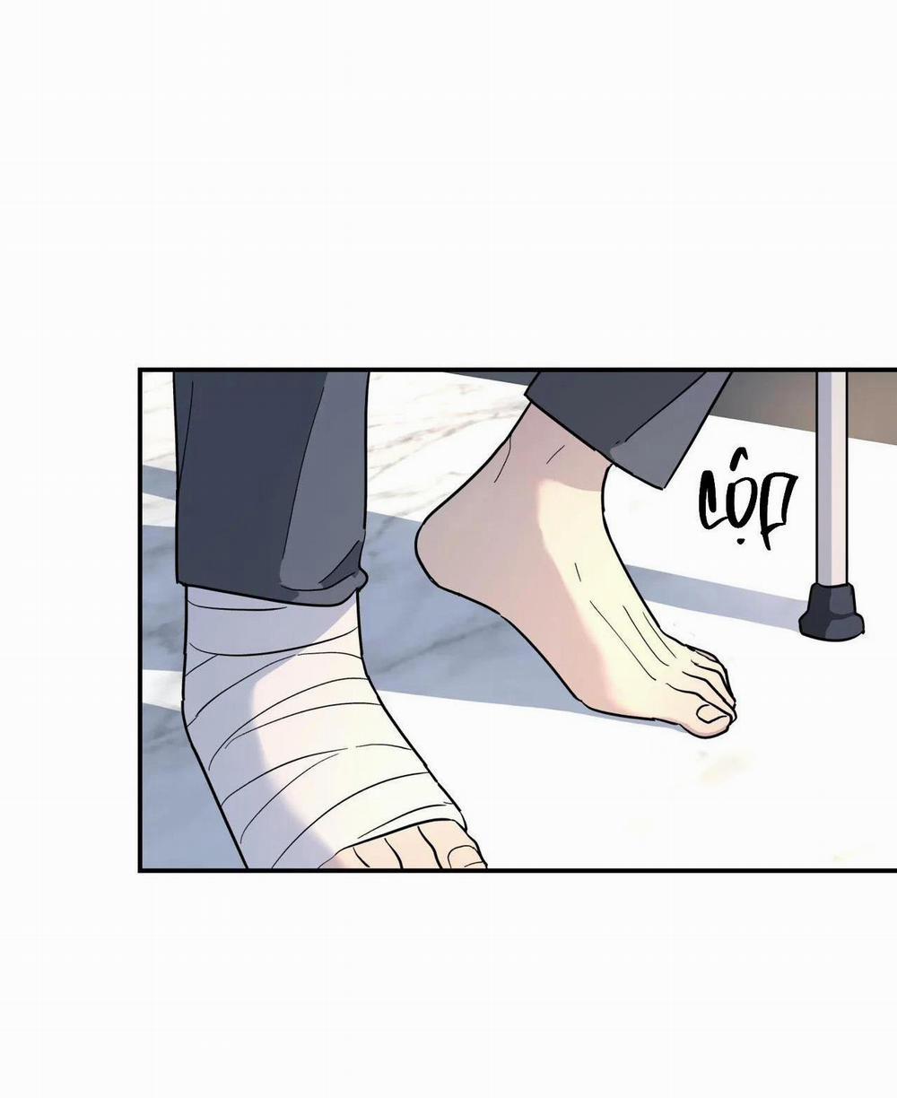 Cây Không Có Rễ 16 trang 51