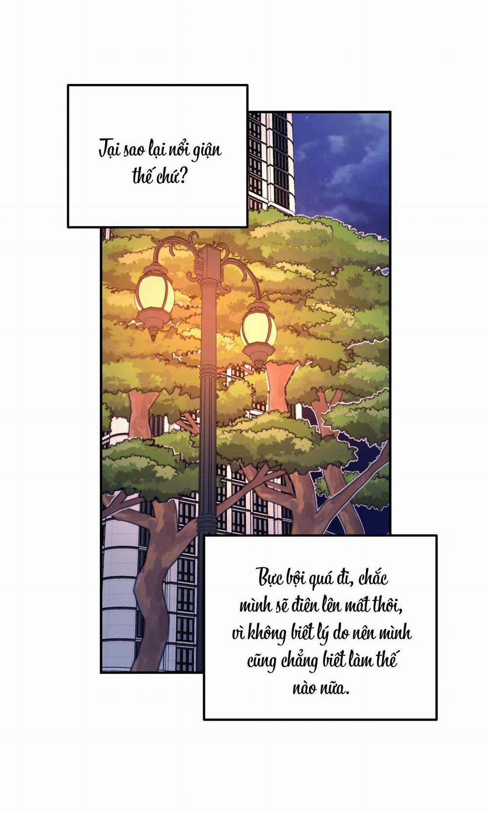 Cây Không Có Rễ 16 trang 62