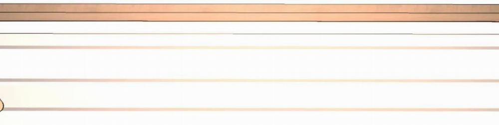 Cây Không Có Rễ 23 trang 81