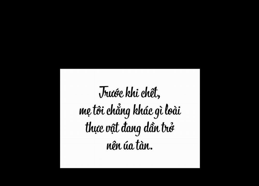 Cây Không Có Rễ 25 trang 57