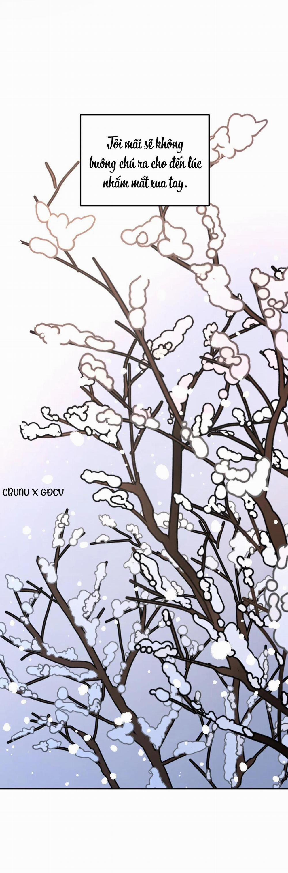 Cây Không Có Rễ 26 trang 107