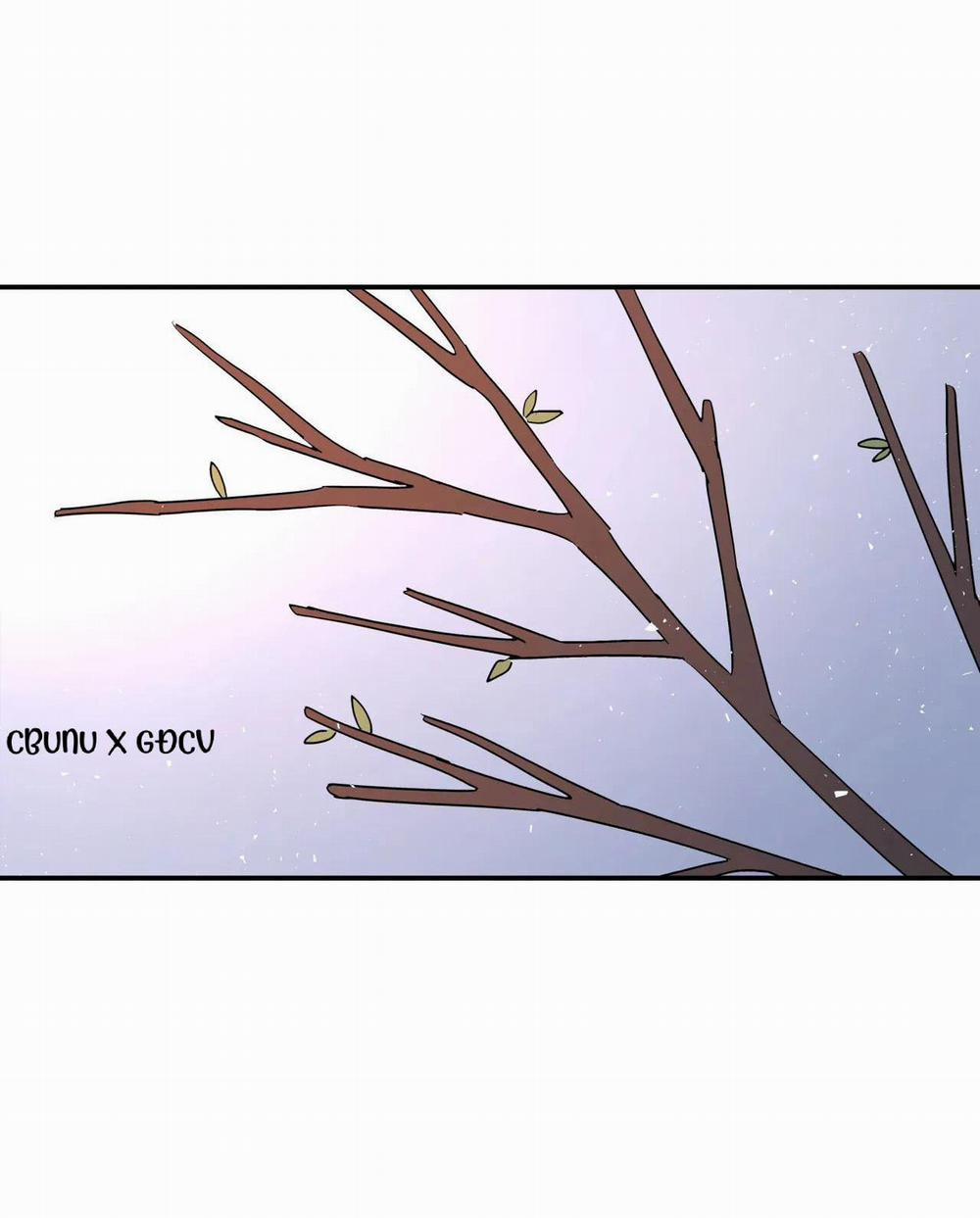 Cây Không Có Rễ 26 trang 108