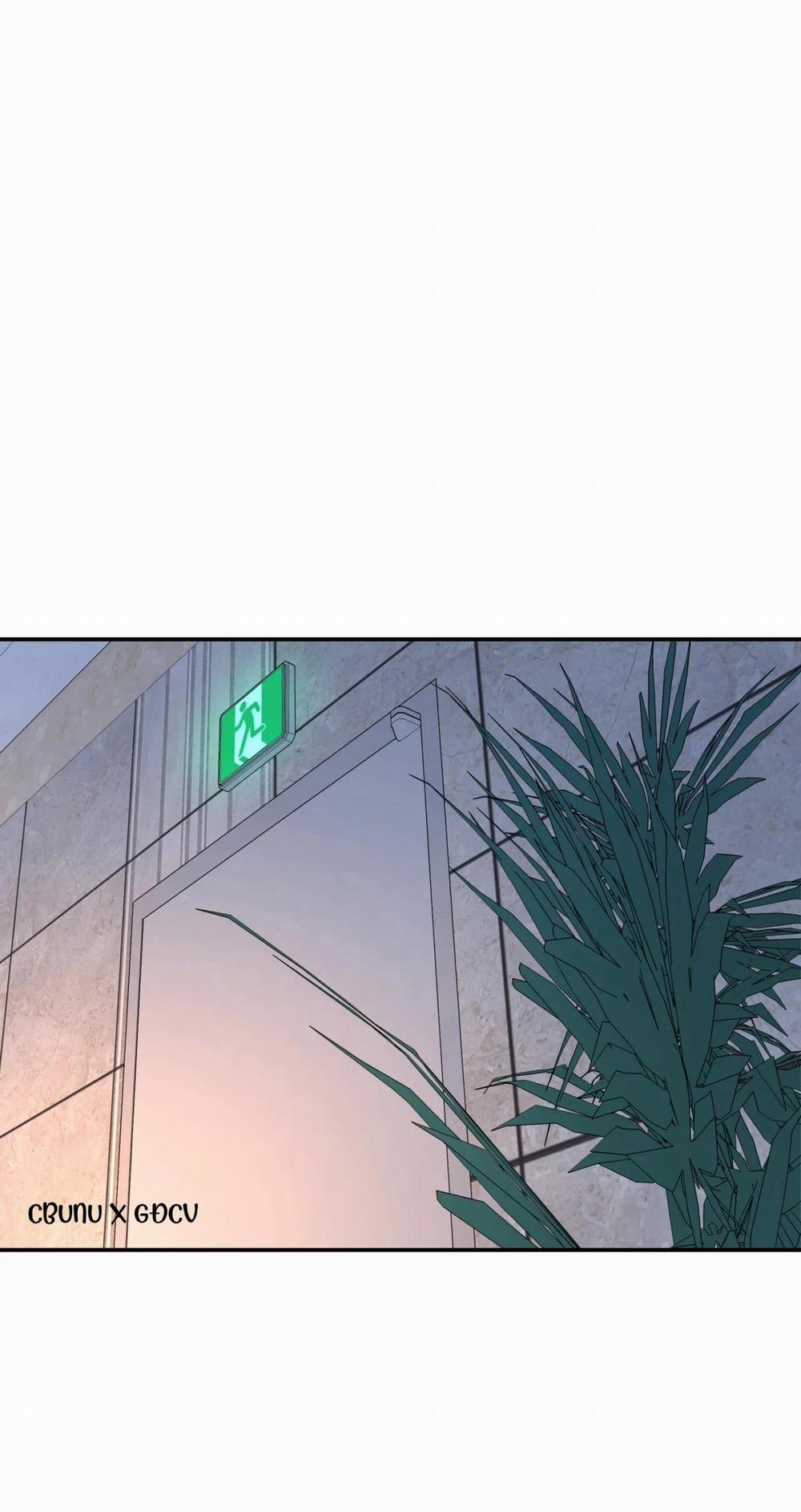 Cây Không Có Rễ 27 trang 47