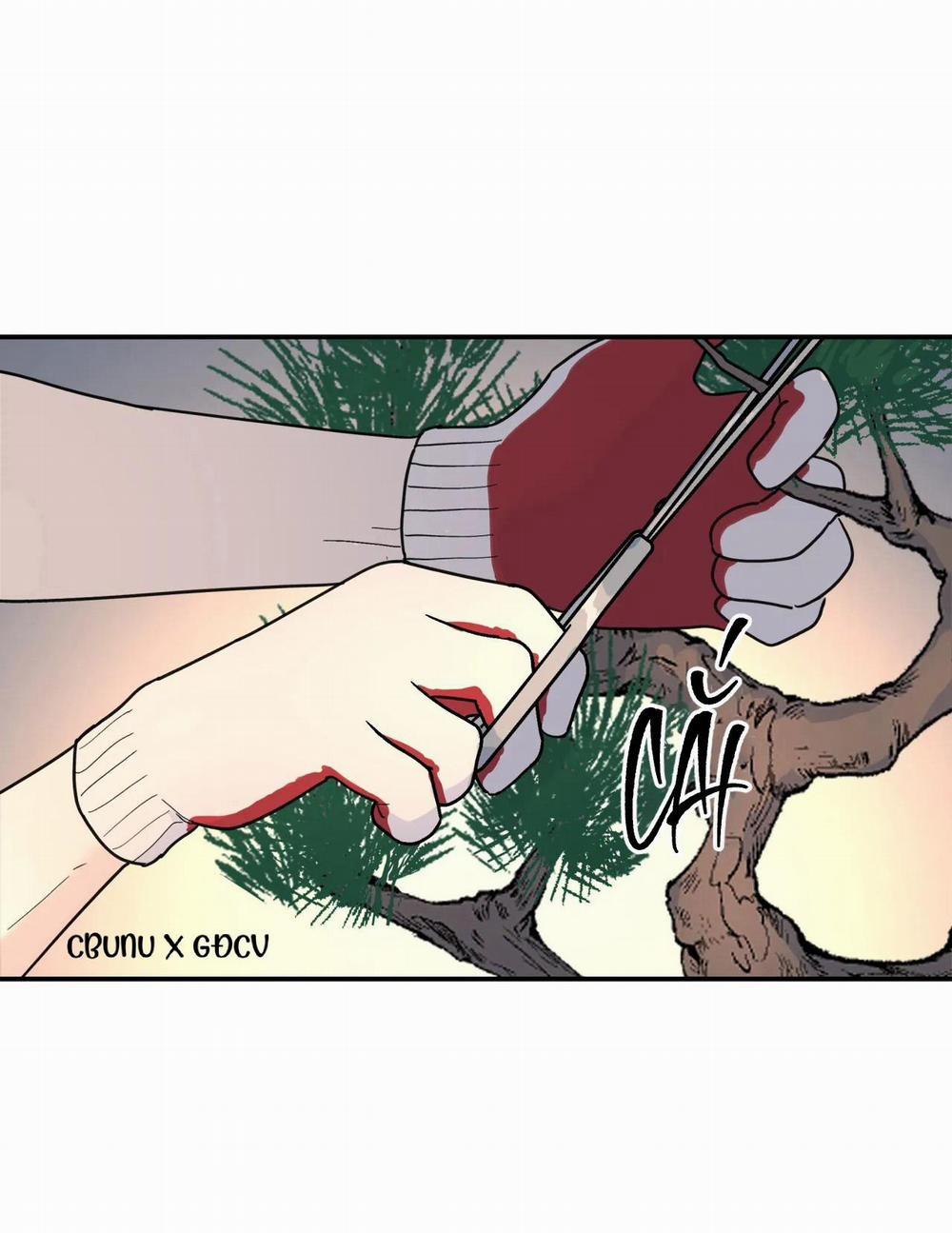 Cây Không Có Rễ 27 trang 77