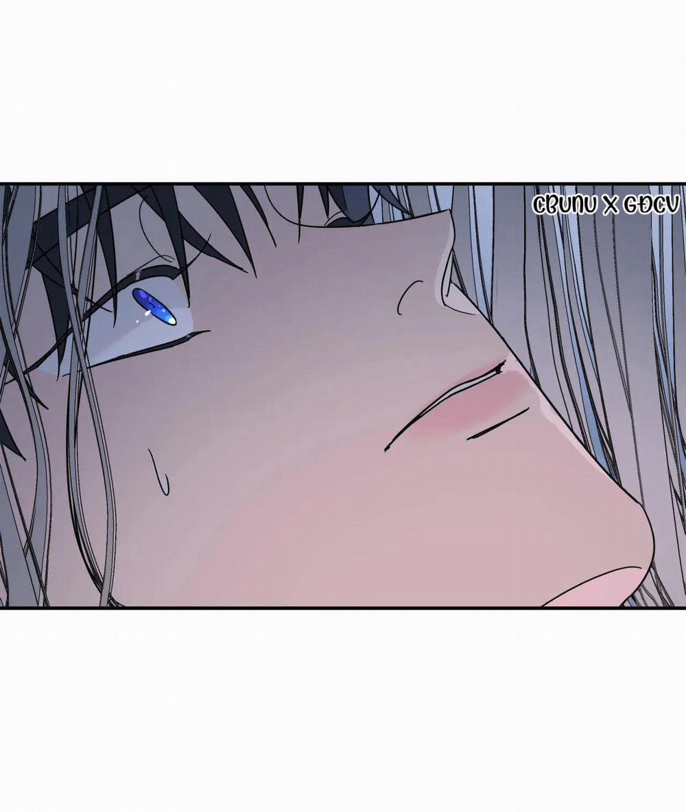 Cây Không Có Rễ 36 trang 29