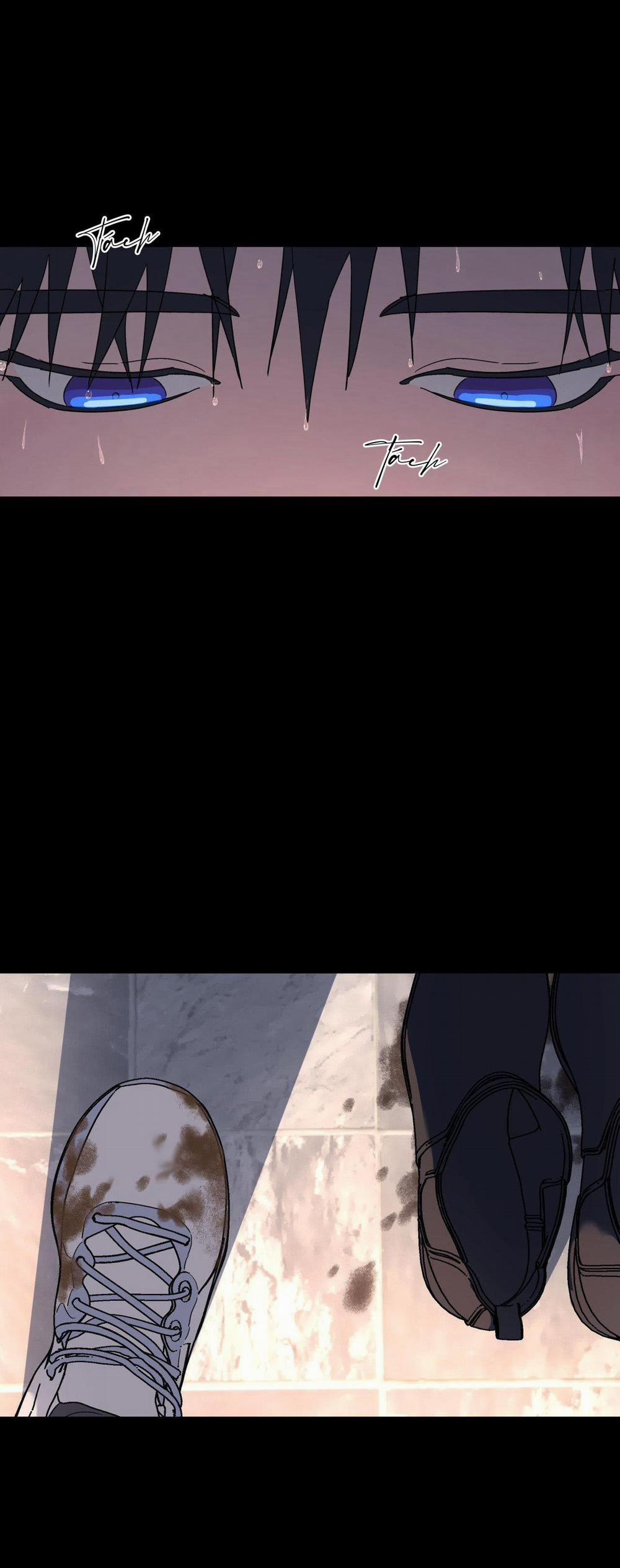 Cây Không Có Rễ 48 trang 25