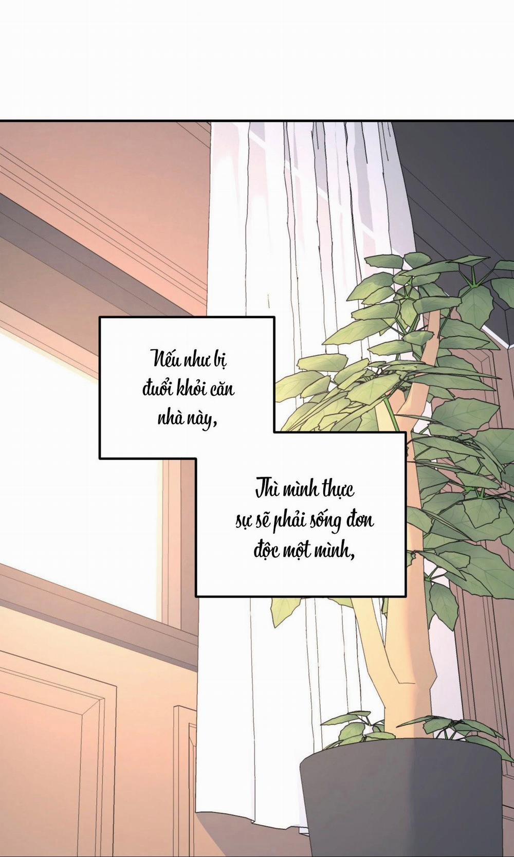 Cây Không Có Rễ 49 trang 17
