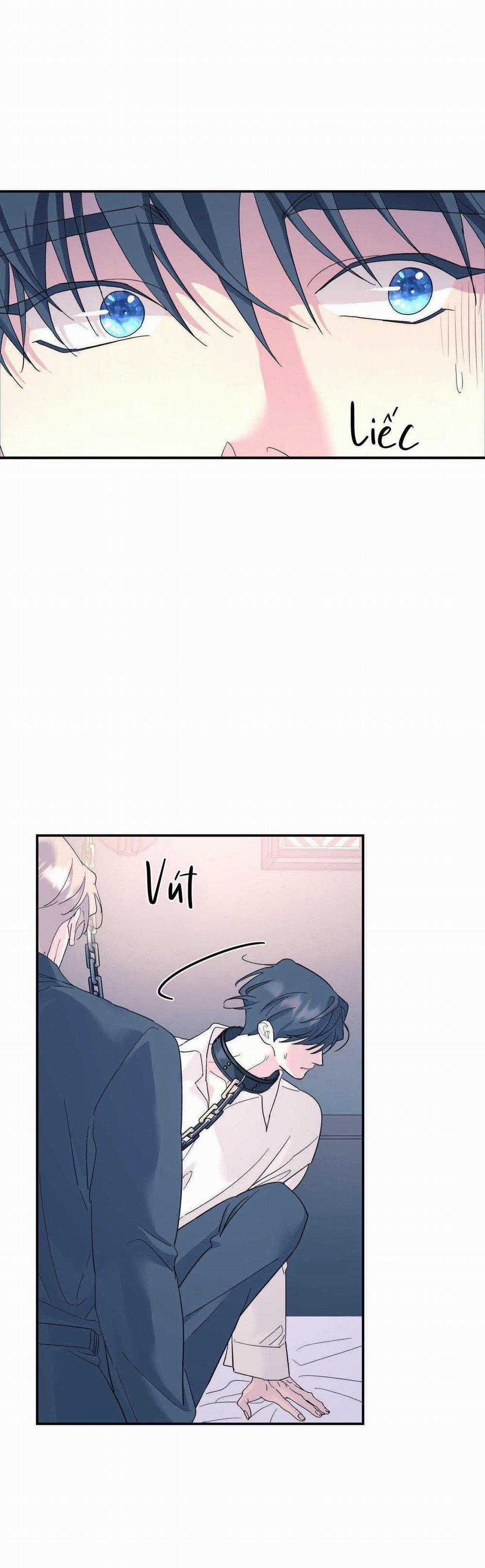 Cây Không Có Rễ 54 trang 50