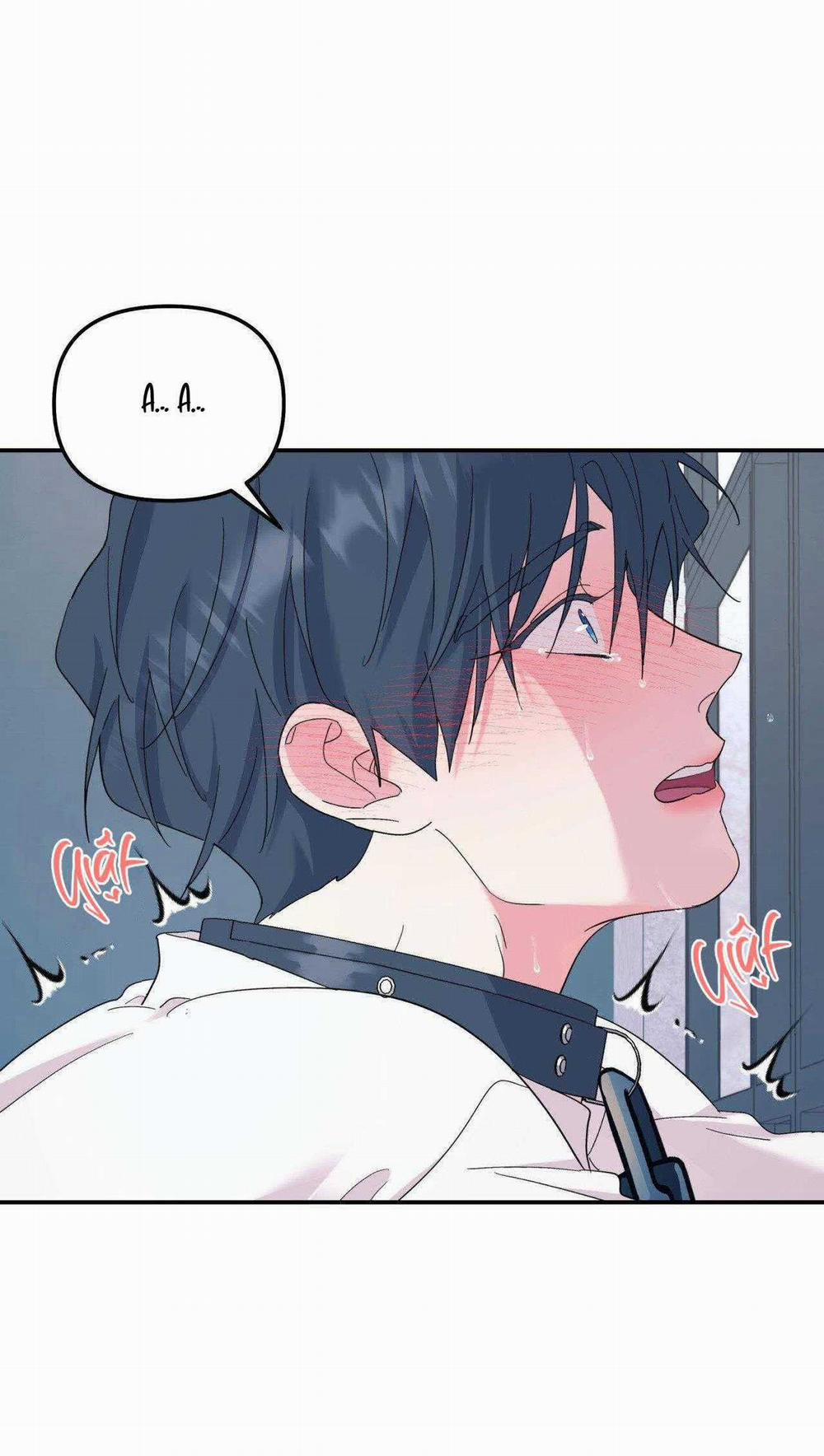 Cây Không Có Rễ 55 trang 20