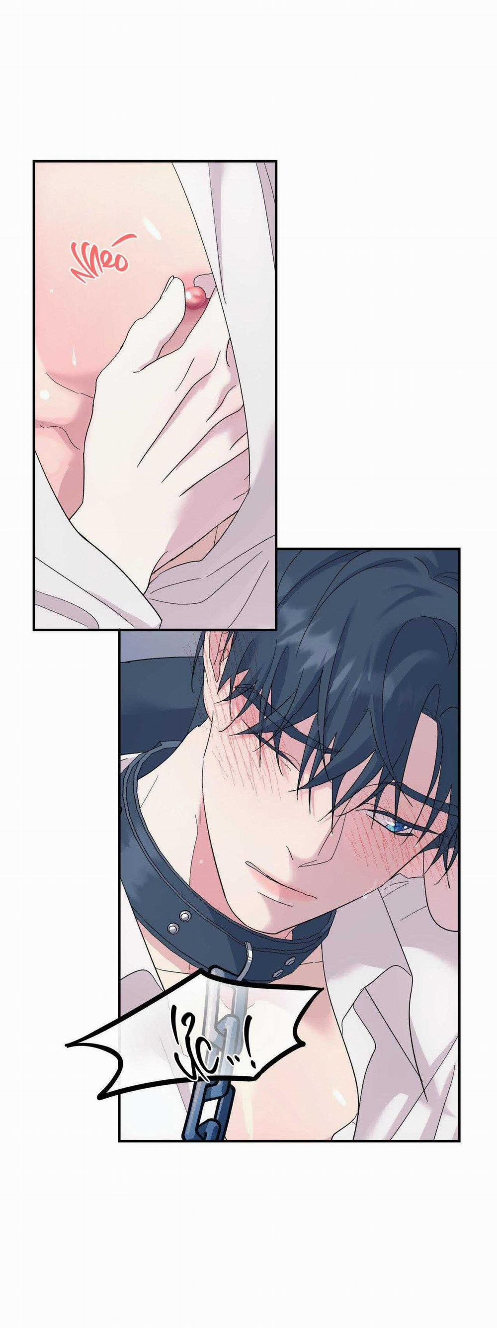 Cây Không Có Rễ 55 trang 4