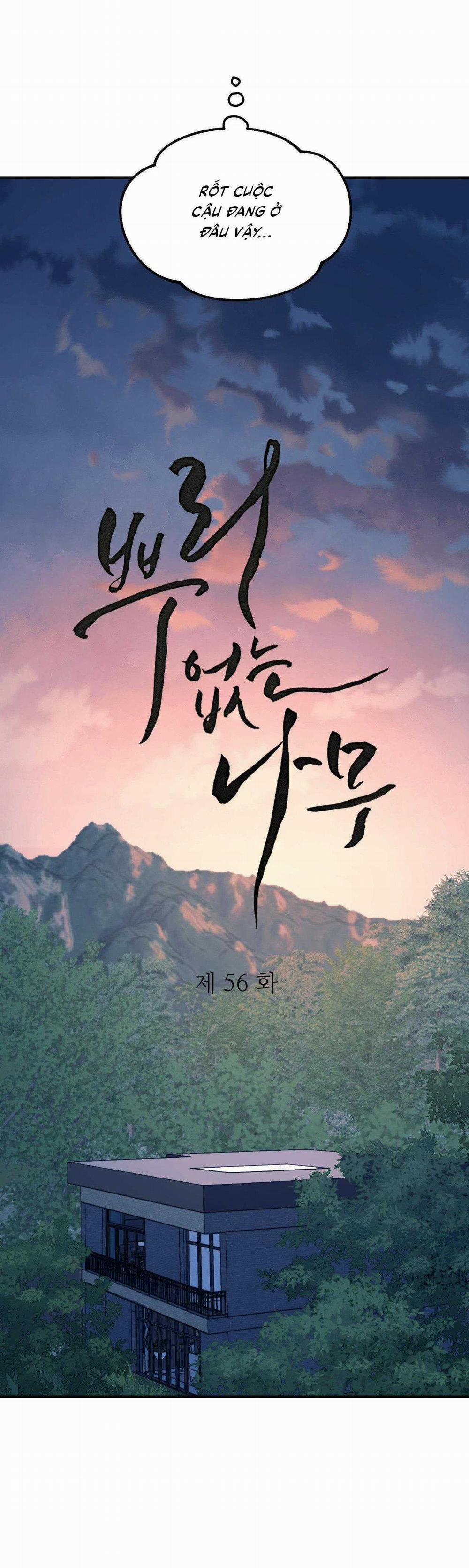 Cây Không Có Rễ 56 trang 13