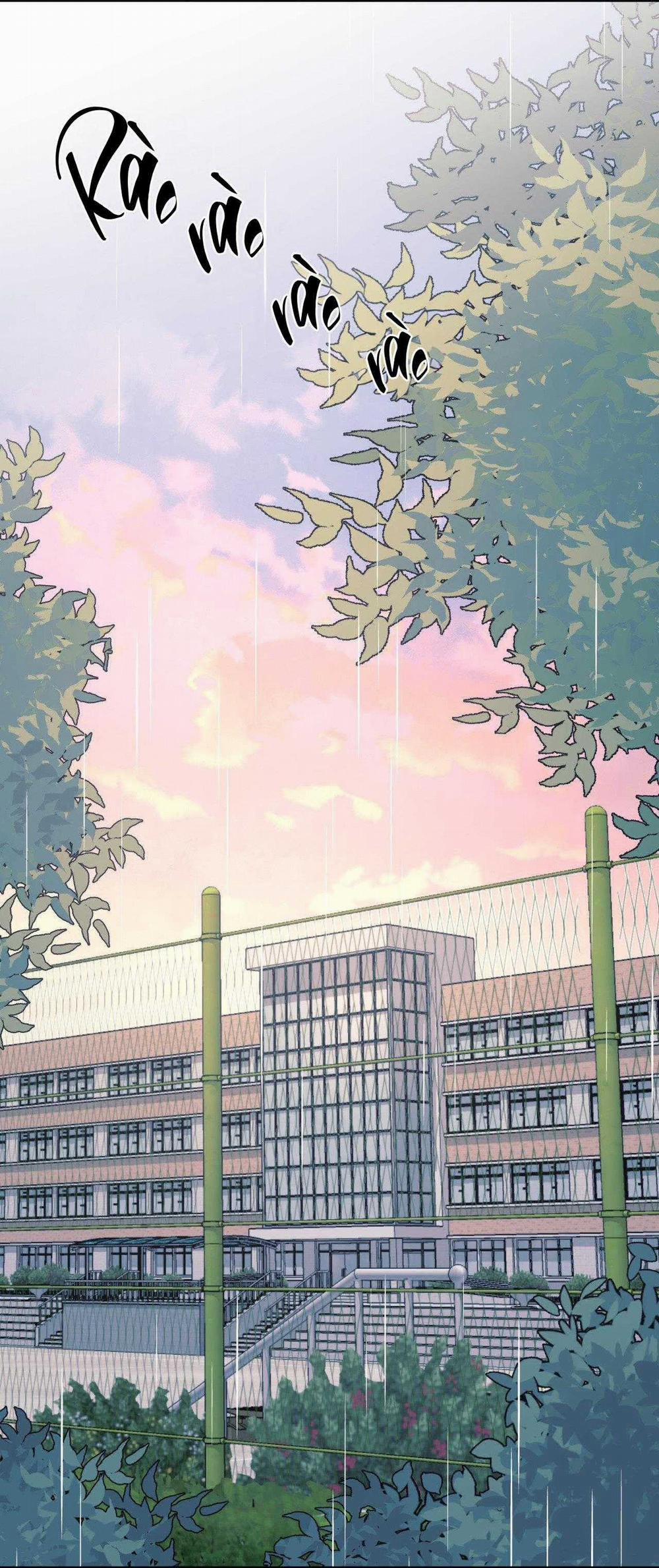 Cây Không Có Rễ 57 trang 43