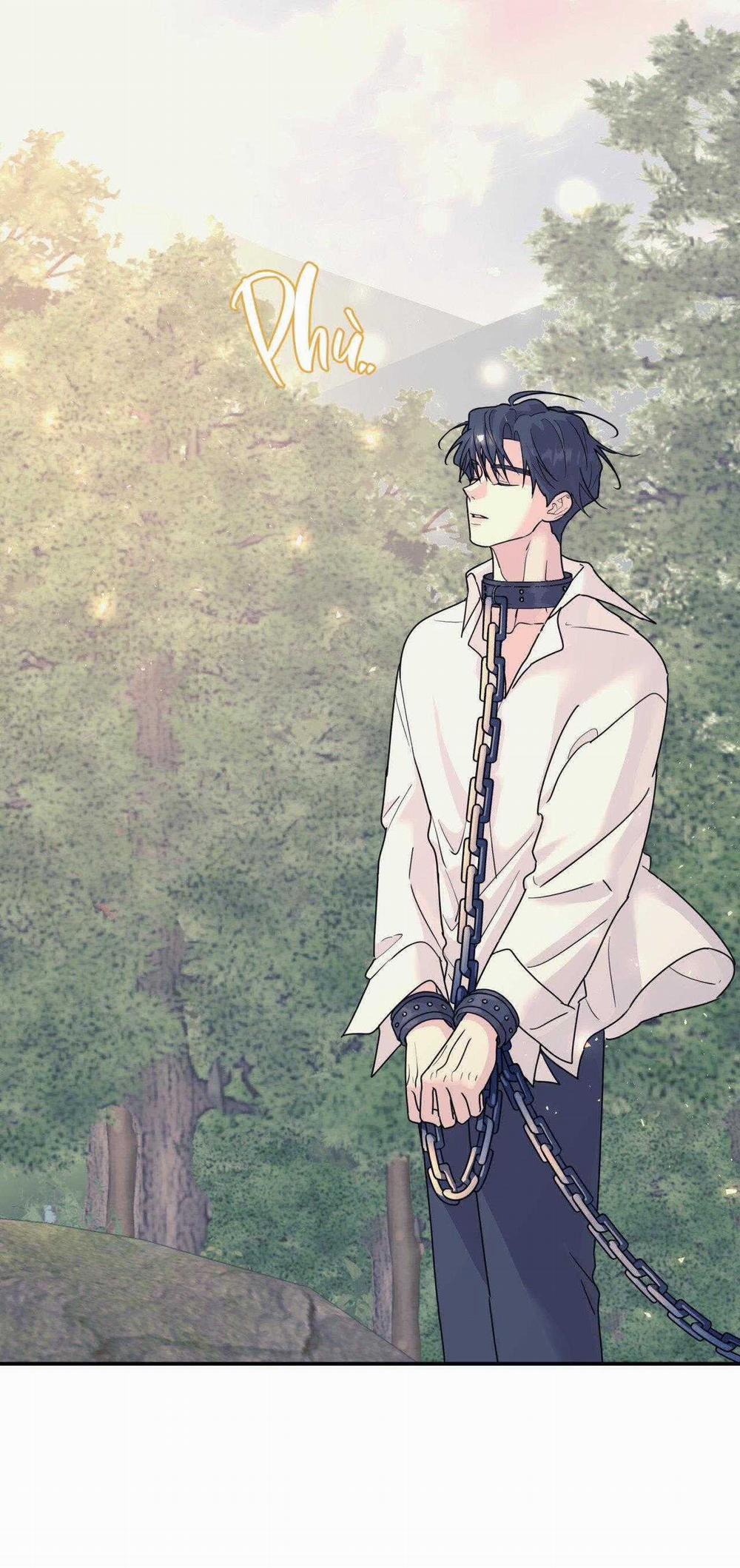 Cây Không Có Rễ 58 trang 24