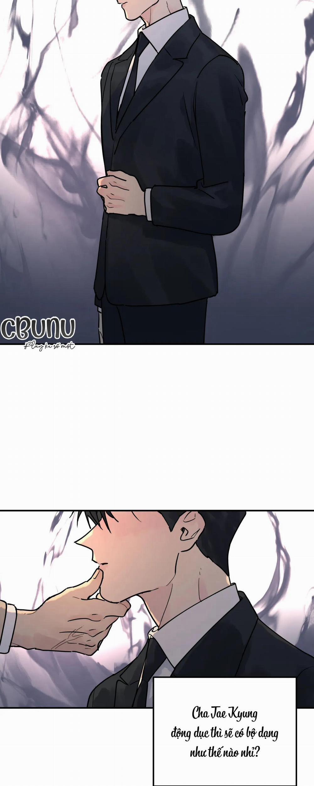 Cây Không Có Rễ 6 trang 12