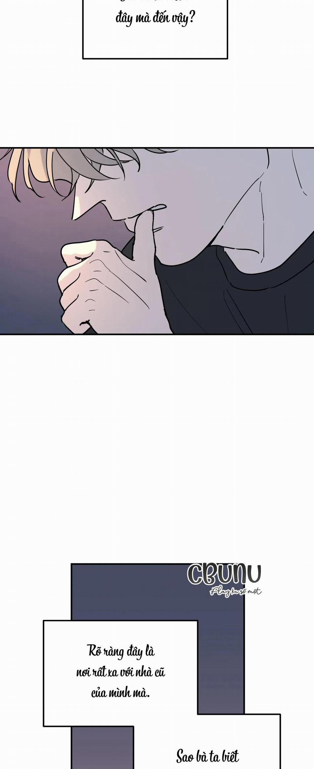 Cây Không Có Rễ 6 trang 29