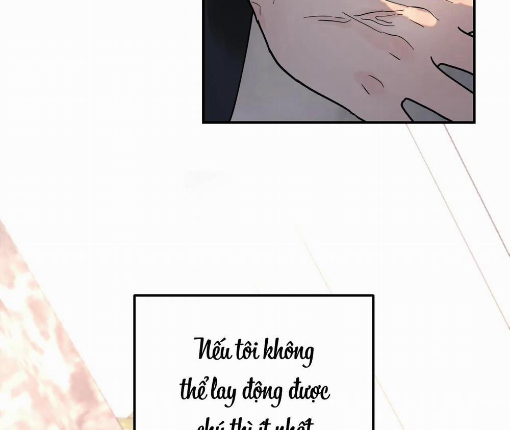 Cây Không Có Rễ 6 trang 50