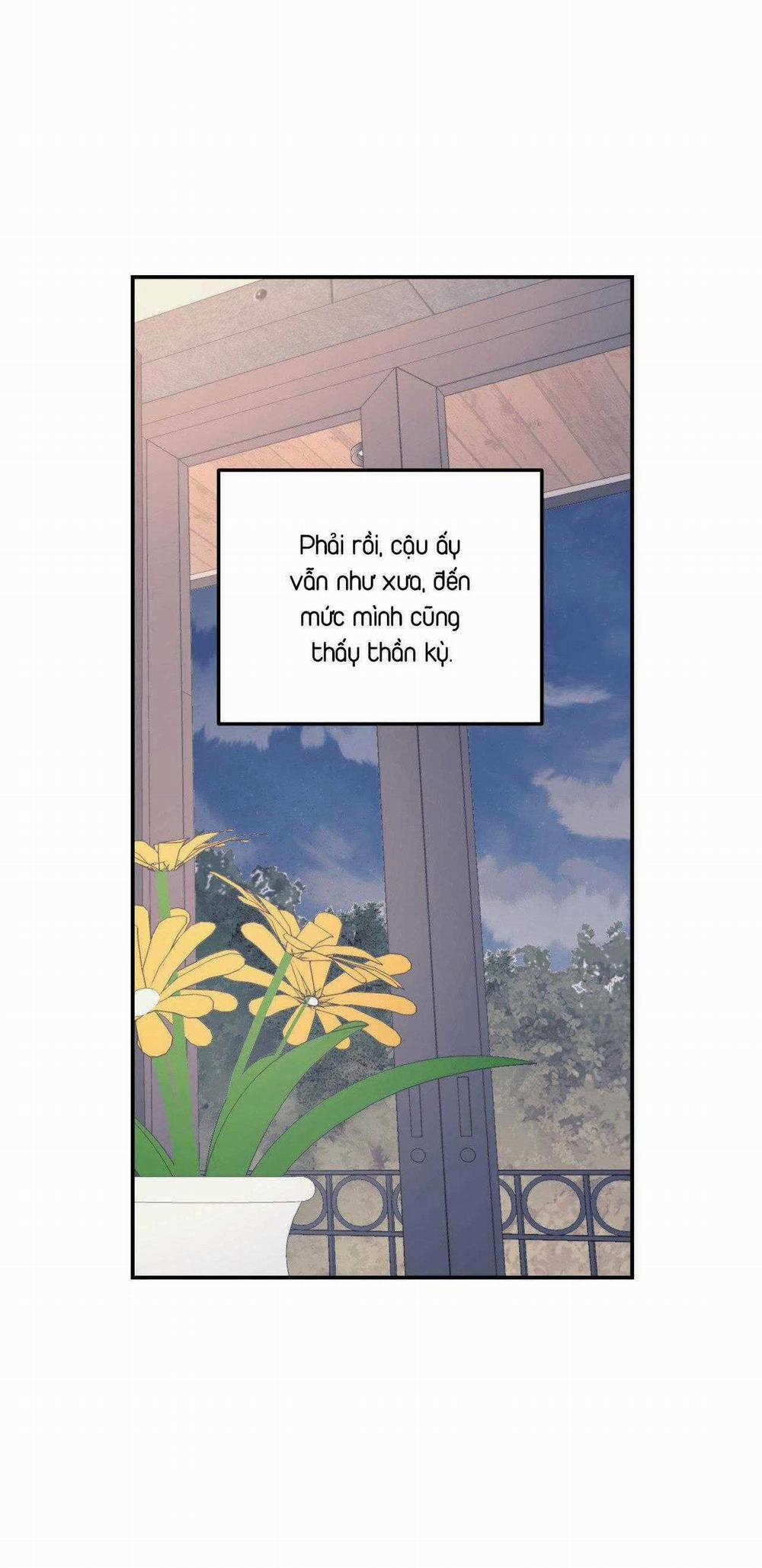 Cây Không Có Rễ 60 trang 31