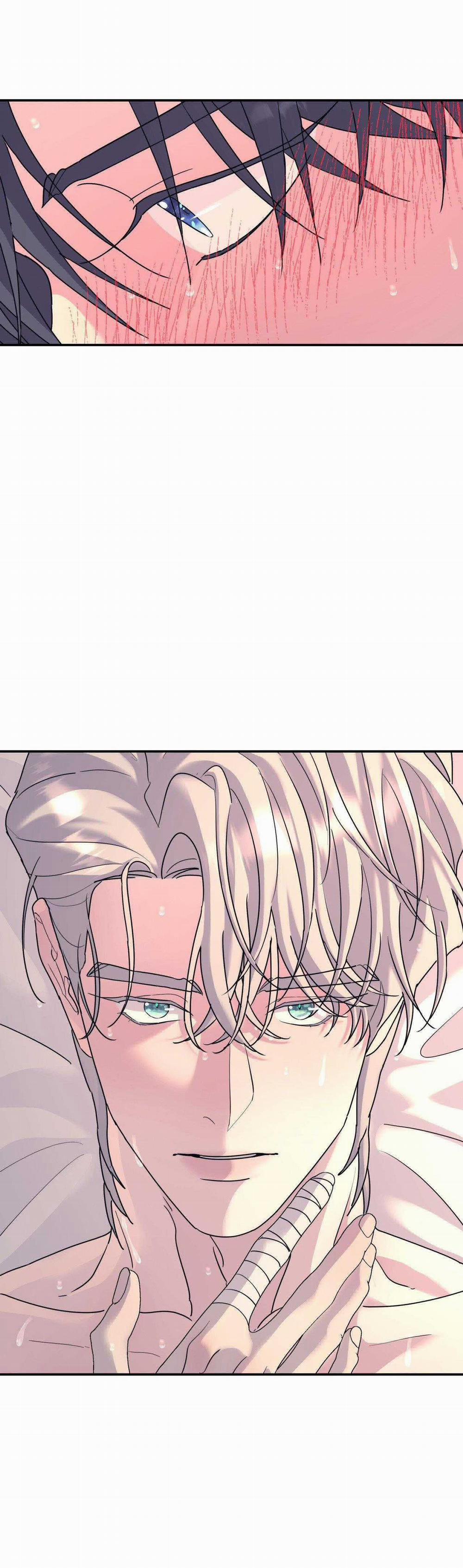 Cây Không Có Rễ 62 trang 17