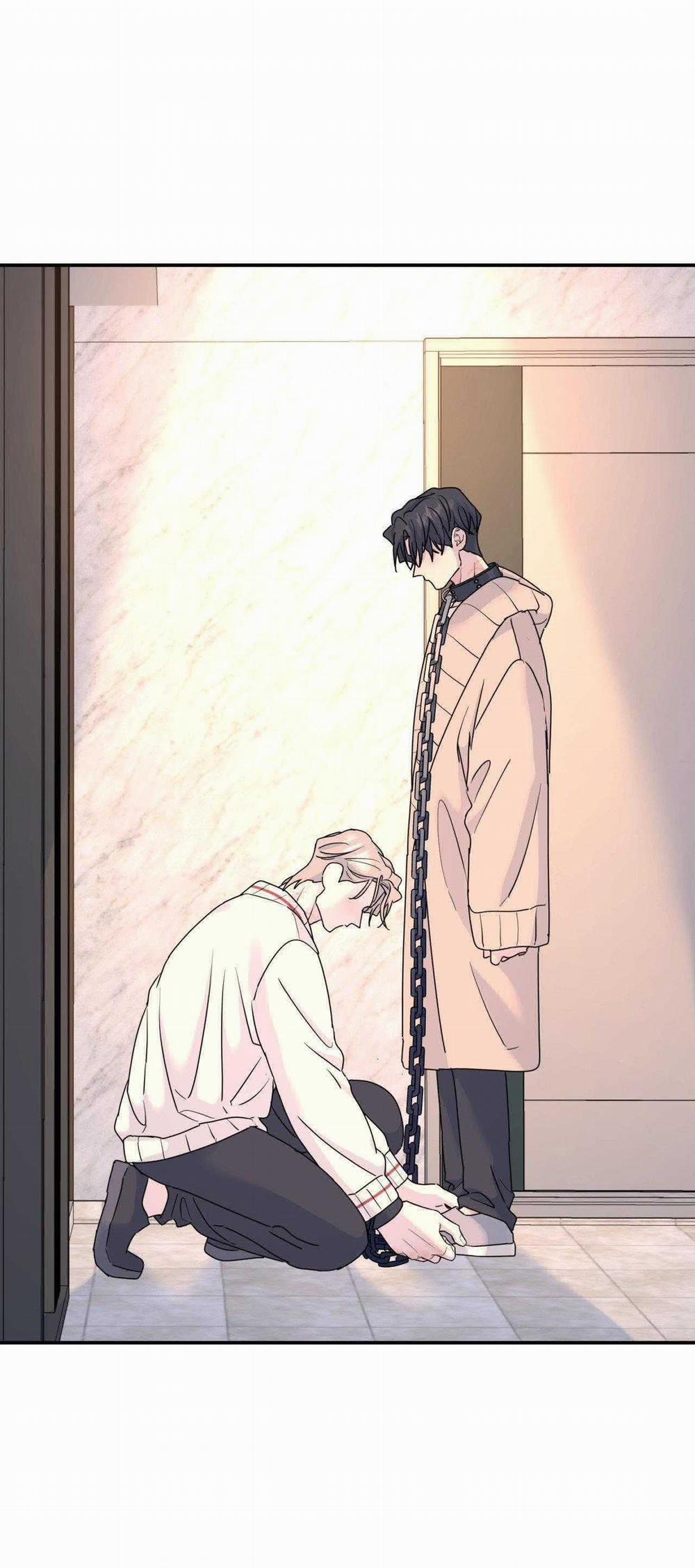 Cây Không Có Rễ 66 trang 43