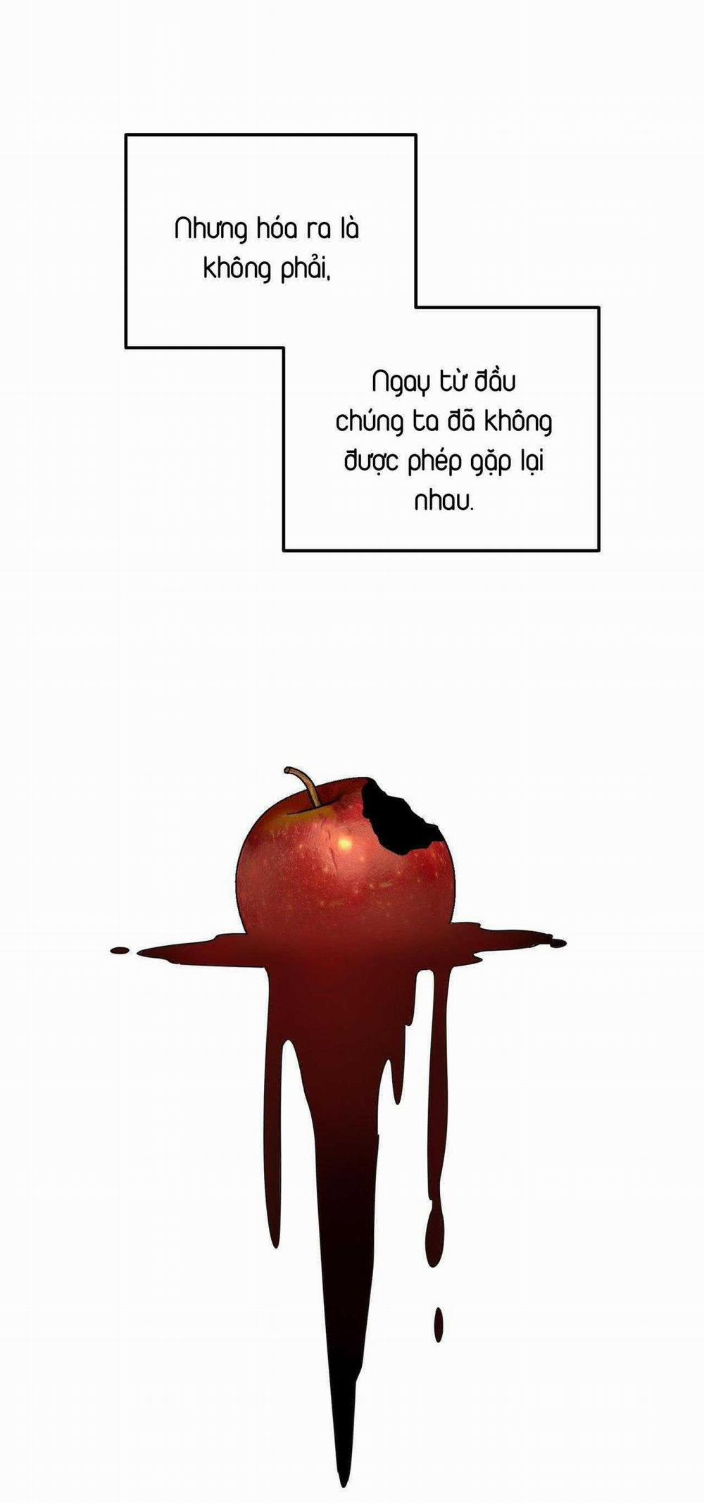 Cây Không Có Rễ 68 trang 40