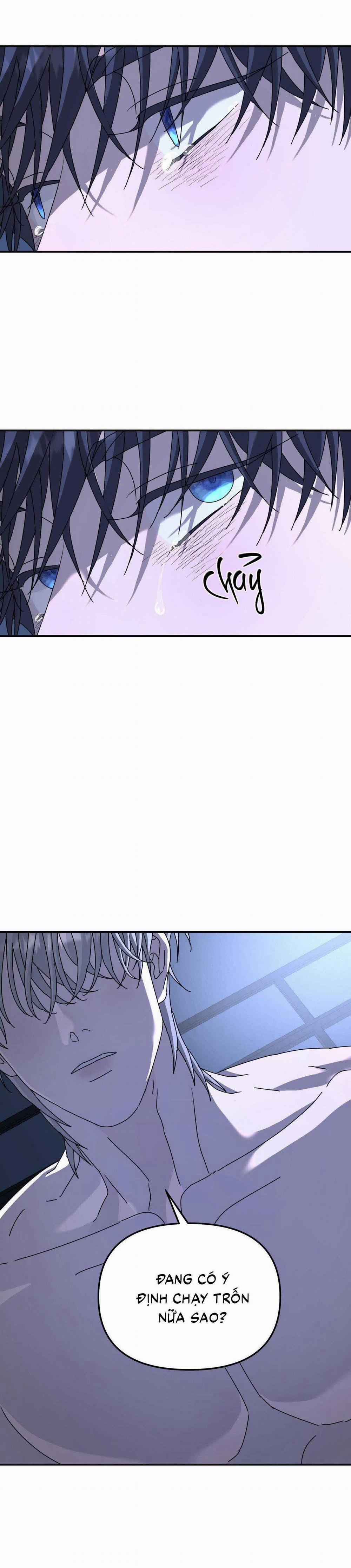 Cây Không Có Rễ 70 trang 24