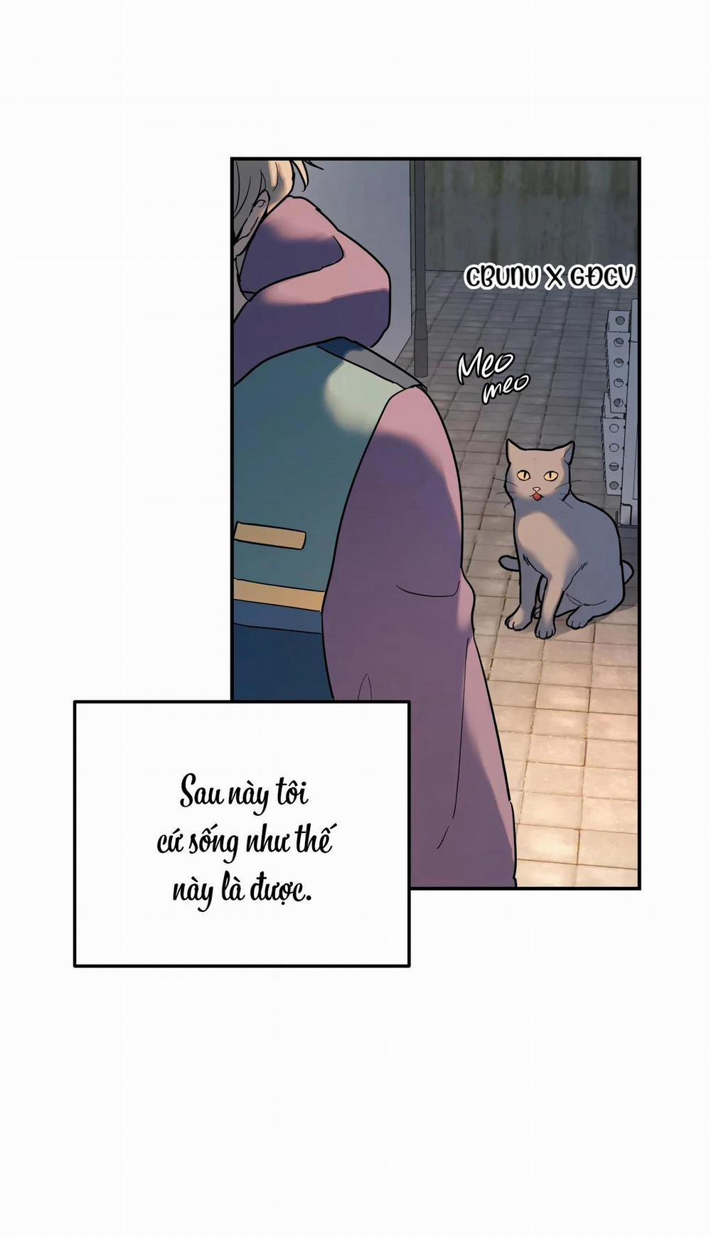 Cây Không Có Rễ 8 trang 79