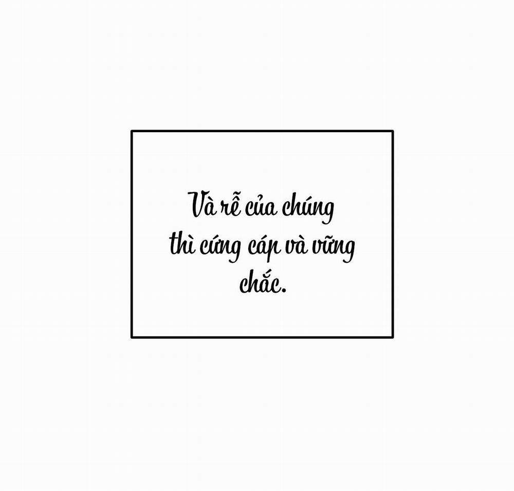 (Cbunu) Cây Không Có Rễ 1 trang 31