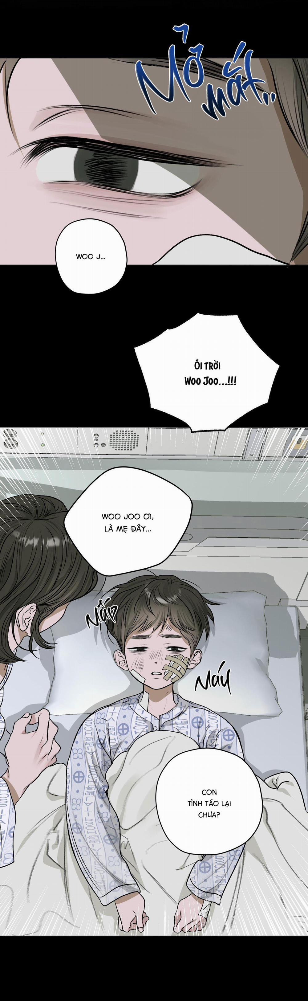 (Cbunu) Đầm Sen Héo Úa 11 trang 14