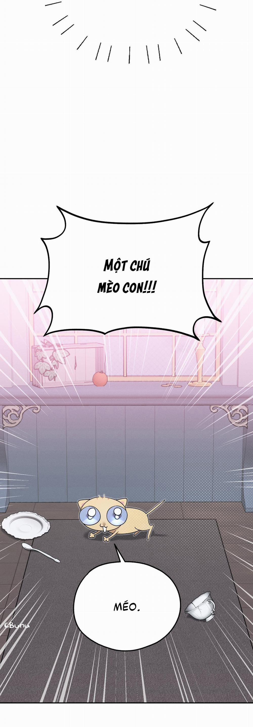 (Cbunu) Extra Virgin 7 END trang 12