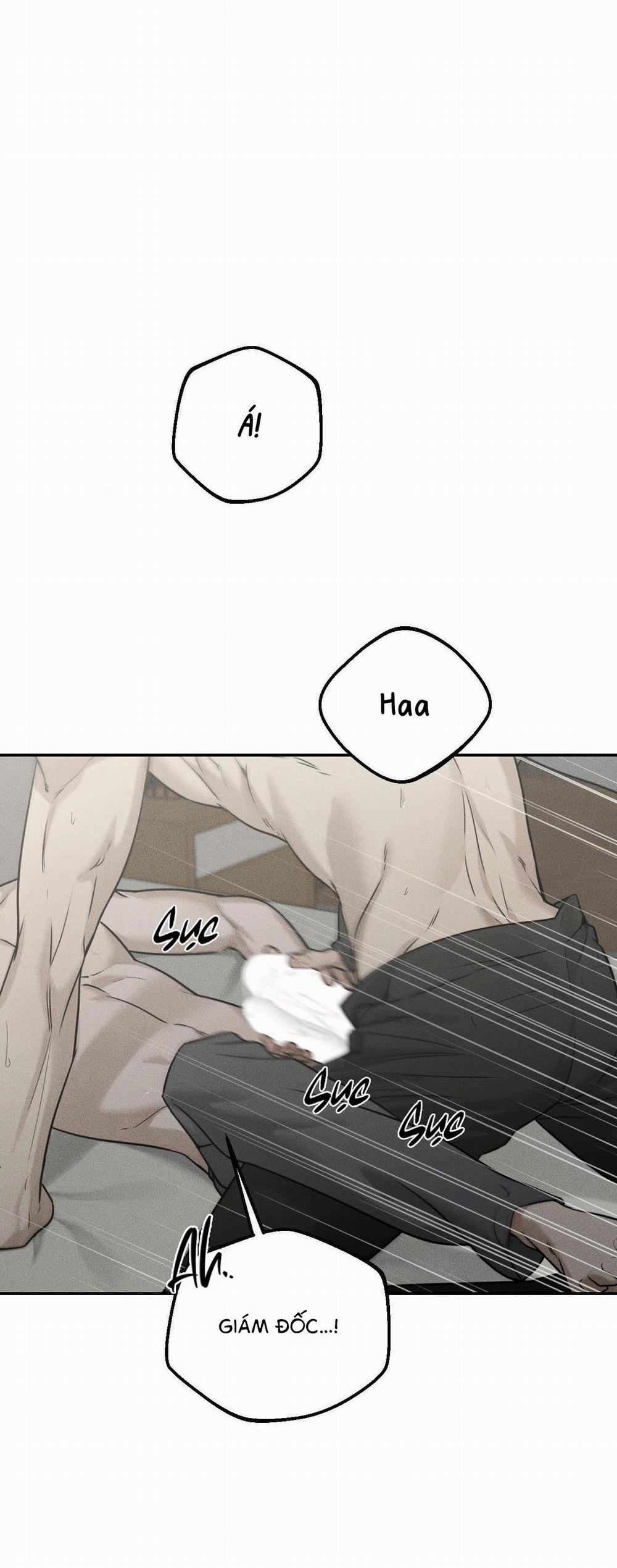 (CBunu) Gấu Teddy thân yêu 23 trang 8