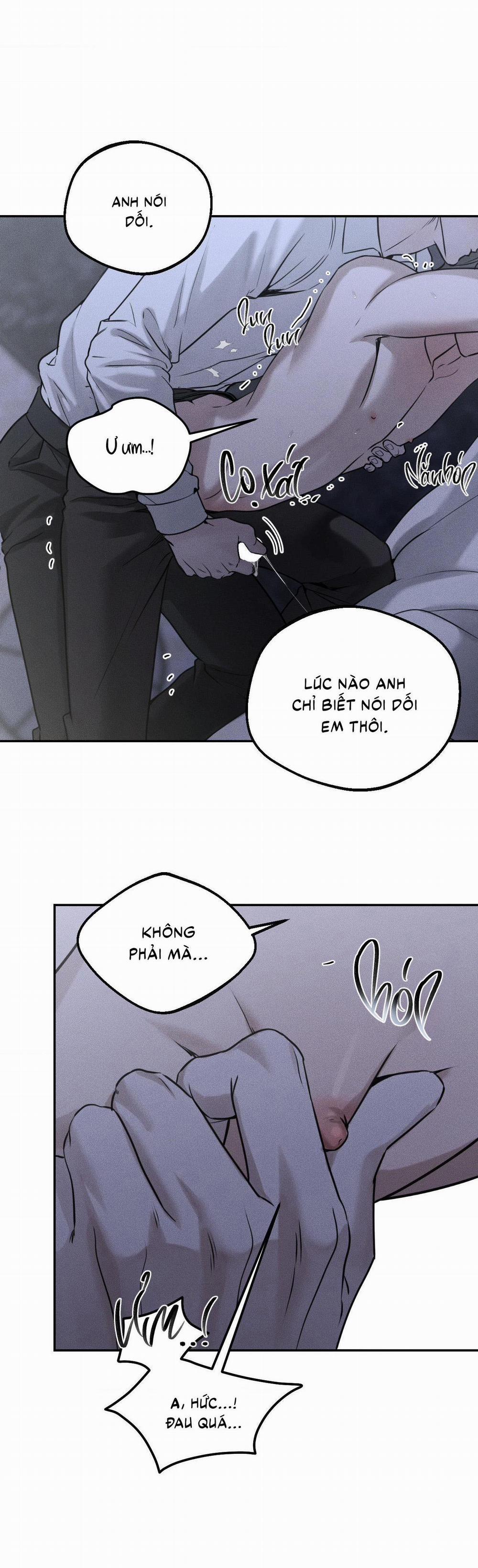 (CBunu) Gấu Teddy thân yêu 26 trang 11