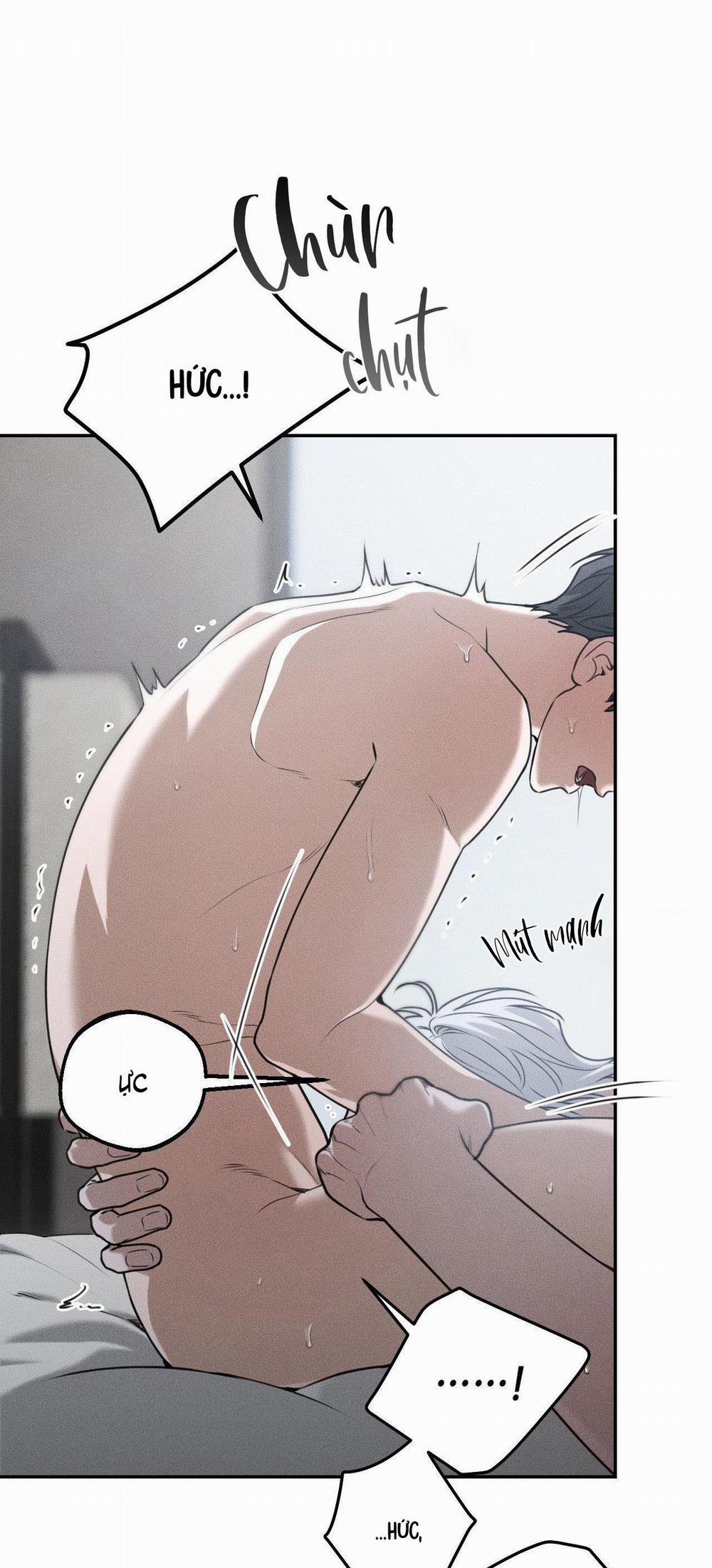 (CBunu) Gấu Teddy thân yêu 29 H+ trang 12