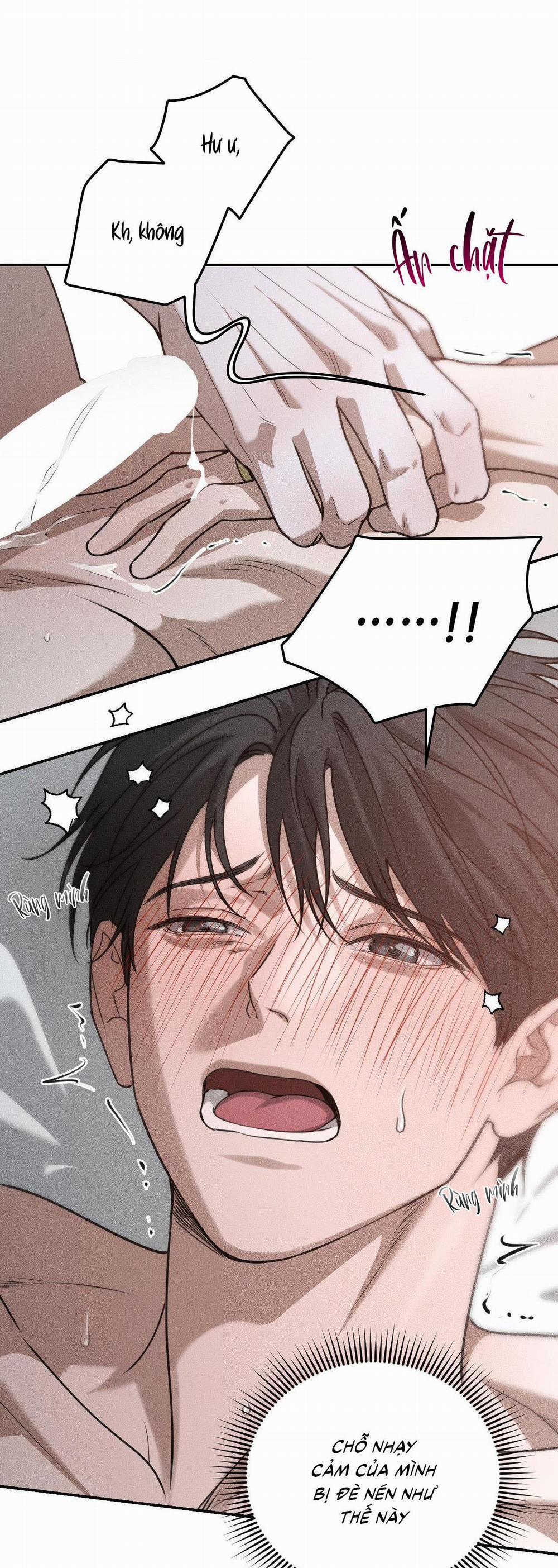 (CBunu) Gấu Teddy thân yêu 29 H+ trang 33