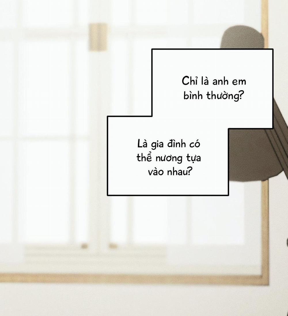 (CBunu) Gấu Teddy thân yêu 38 trang 8