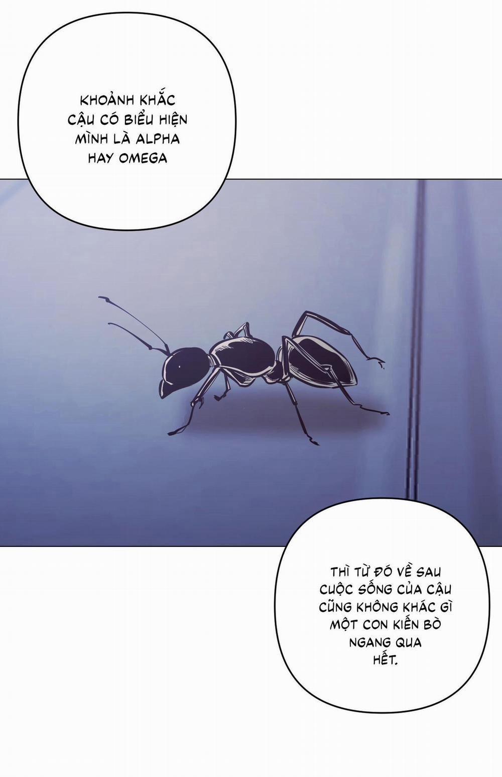 (Cbunu) Stigma 36 0 trang 4