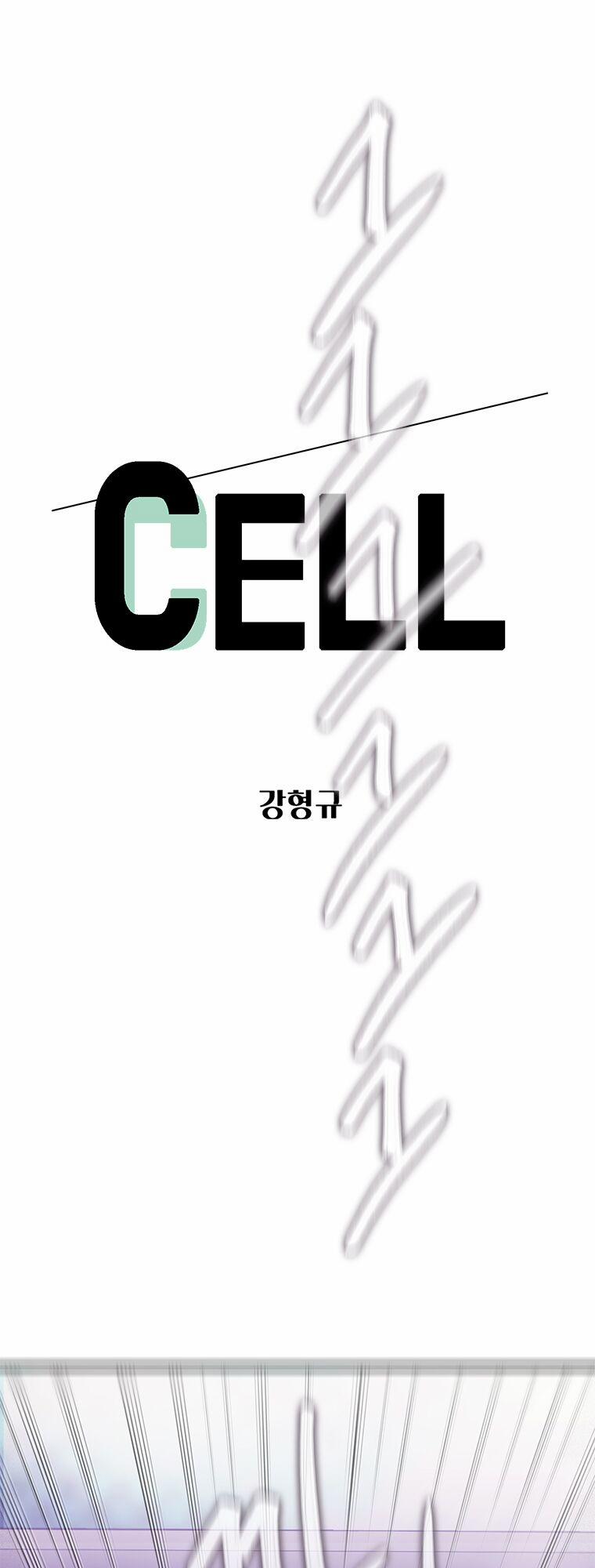 Cell 17 trang 0