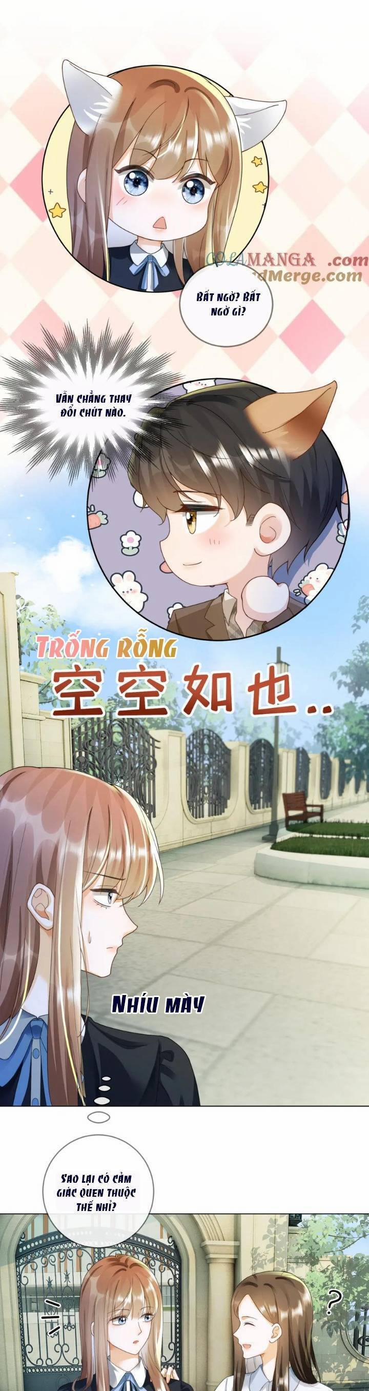 Ceo Tỷ Phú Chỉ Yêu Người Vợ Thế Thân Của Mình 74 trang 16