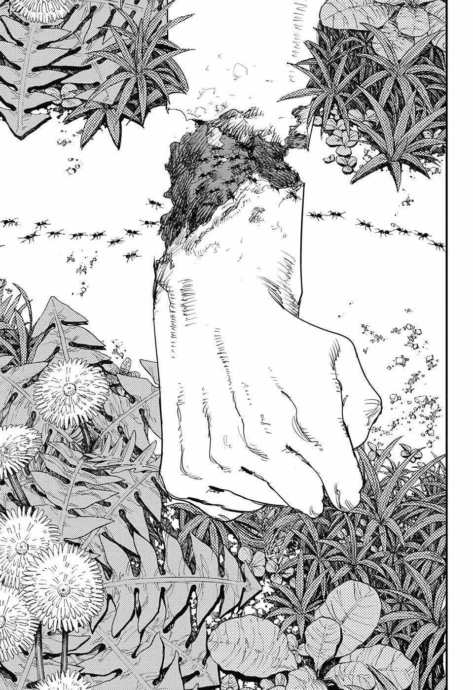 Chainsaw Man - Thợ Săn Quỷ 63 trang 19