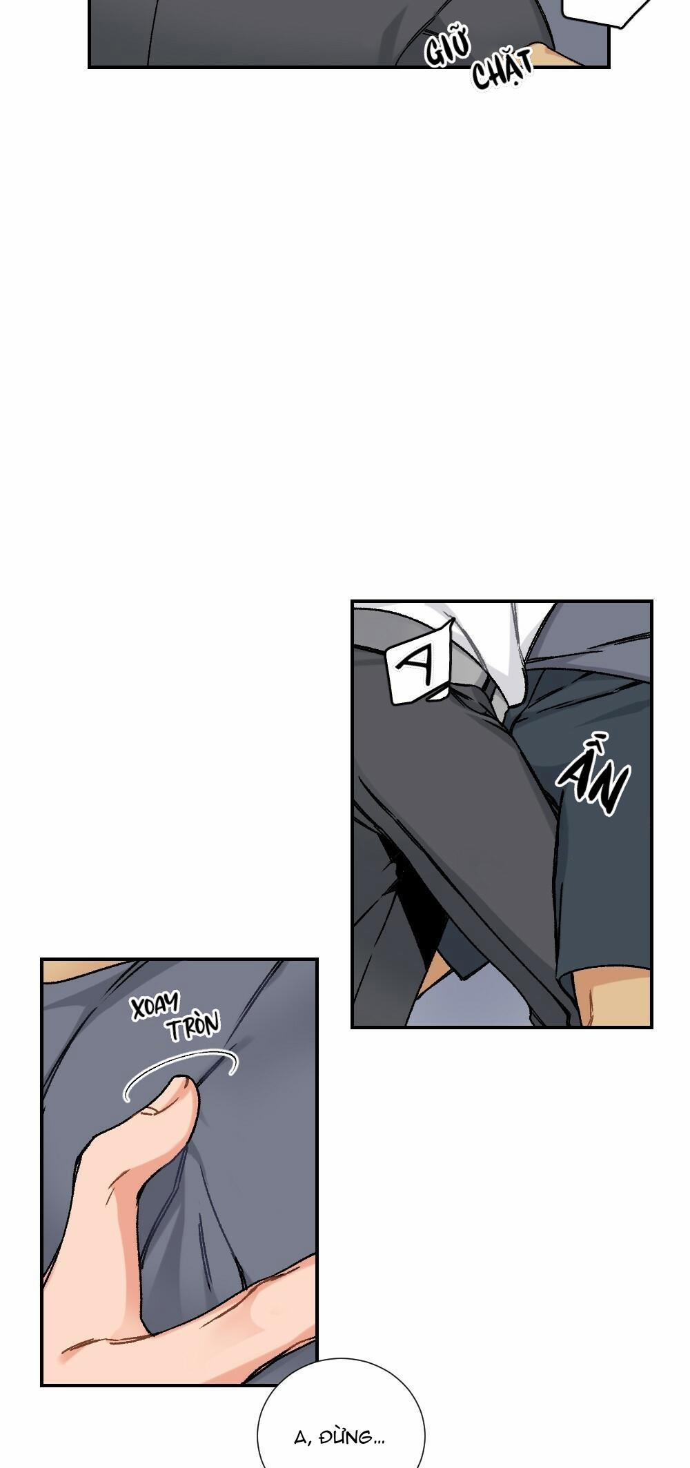 CHĂM SÓC 10 trang 31