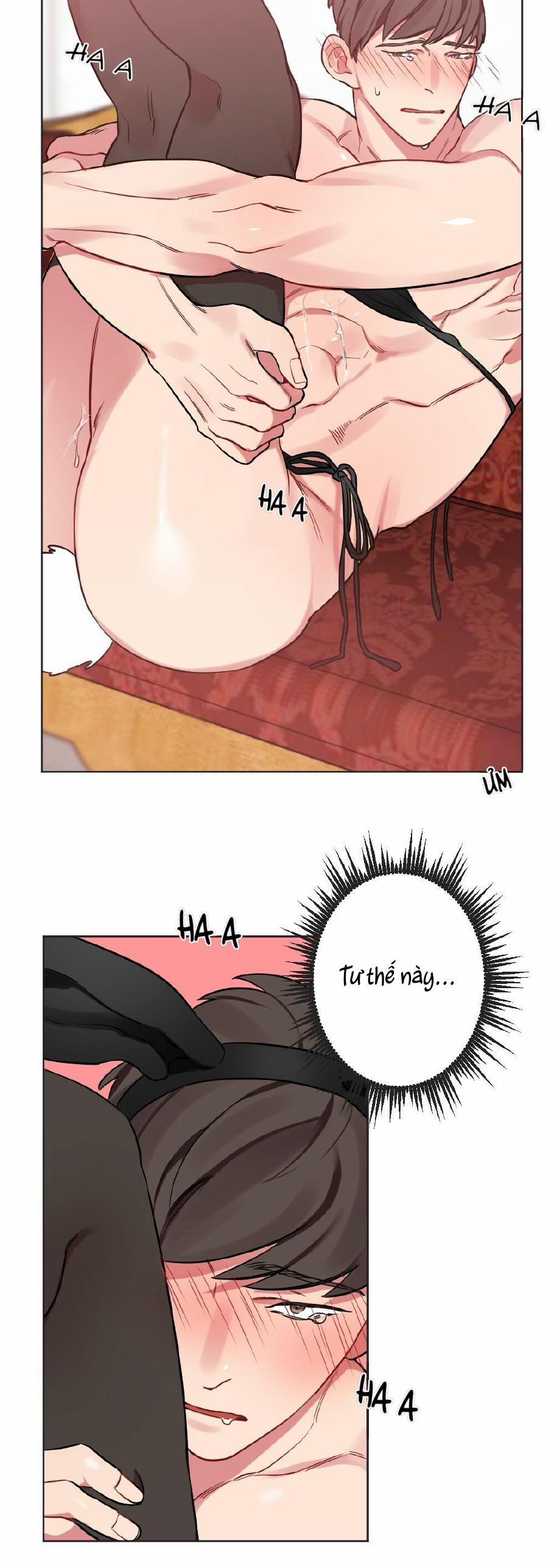 CHĂM SÓC 13 trang 13