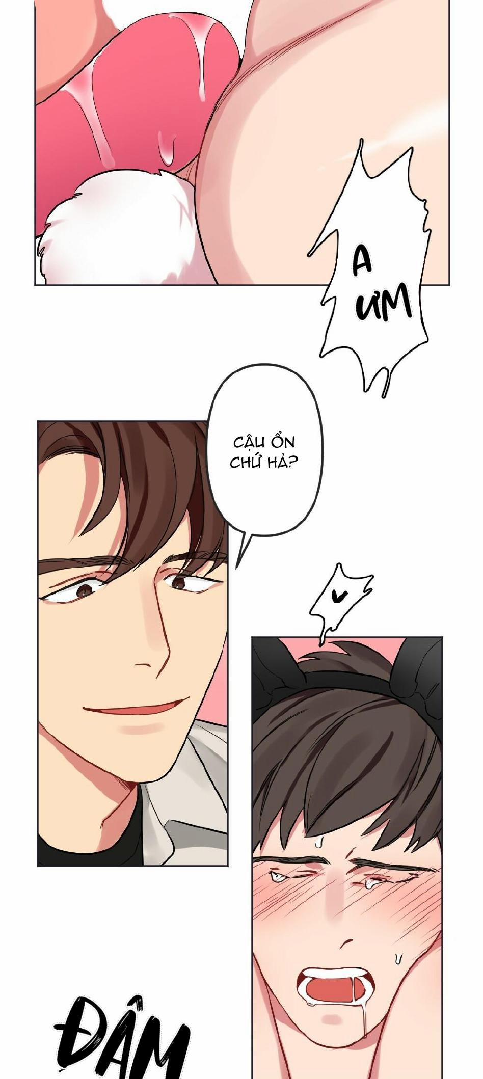 CHĂM SÓC 13 trang 15