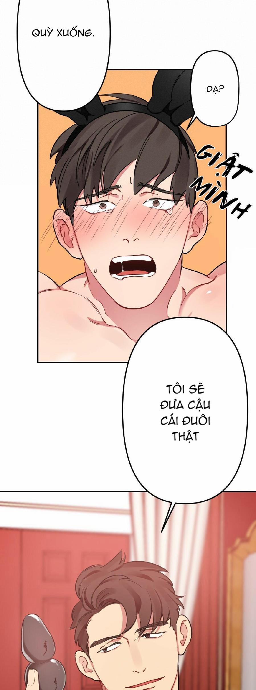 CHĂM SÓC 13 trang 22