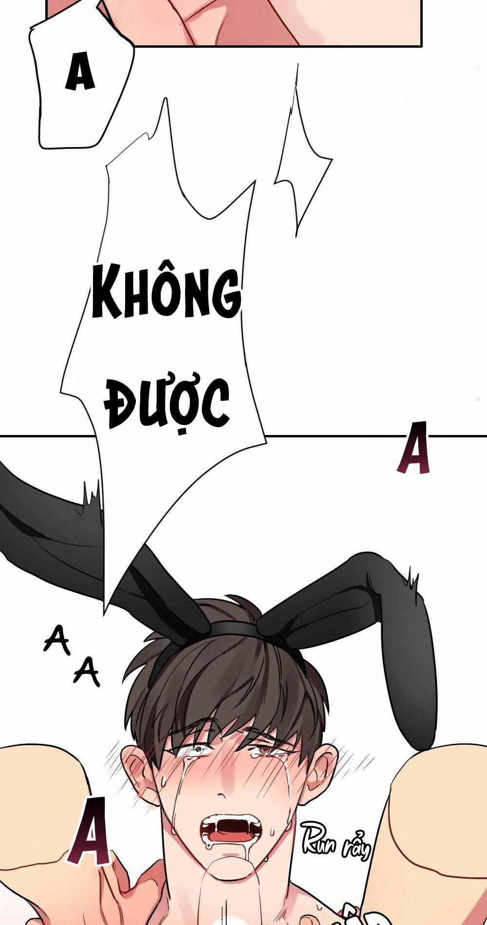 CHĂM SÓC 14 trang 19