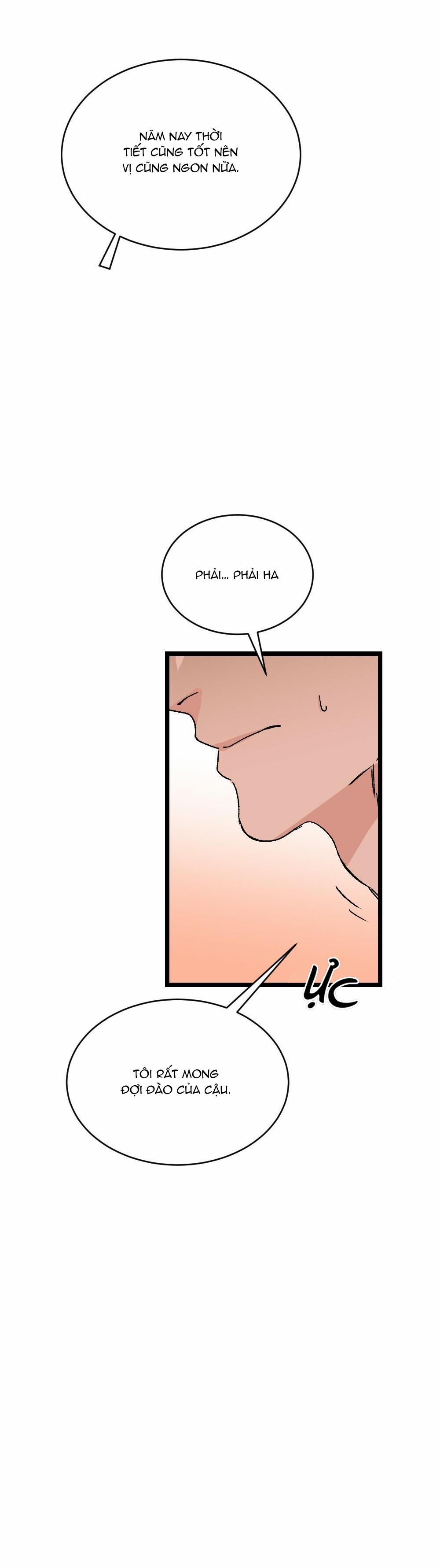 CHĂM SÓC 15 trang 11