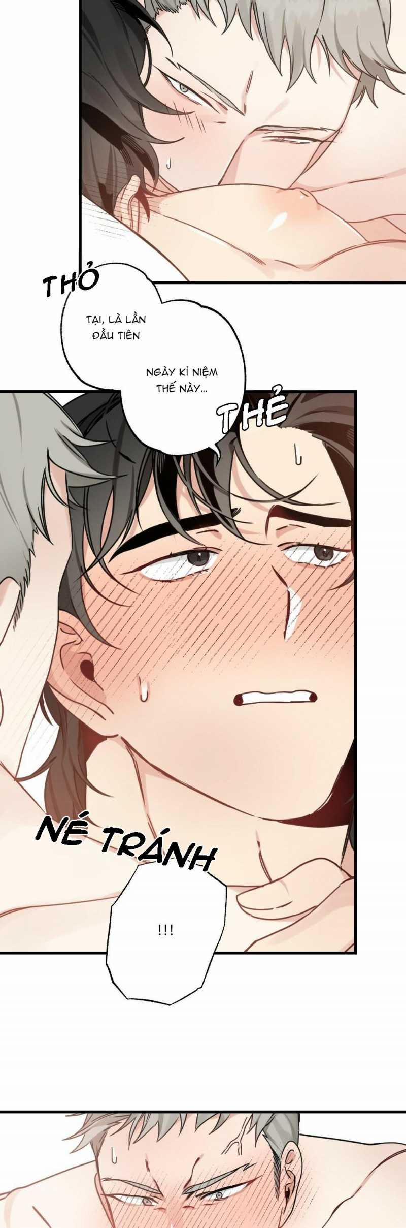 CHĂM SÓC 24 trang 13