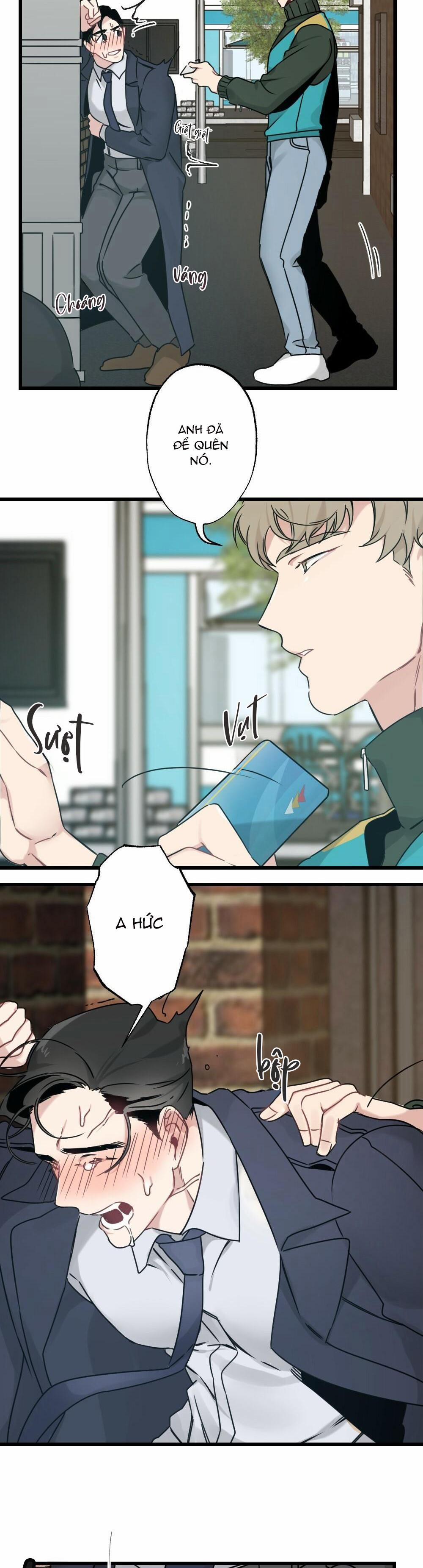 CHĂM SÓC 26 trang 13