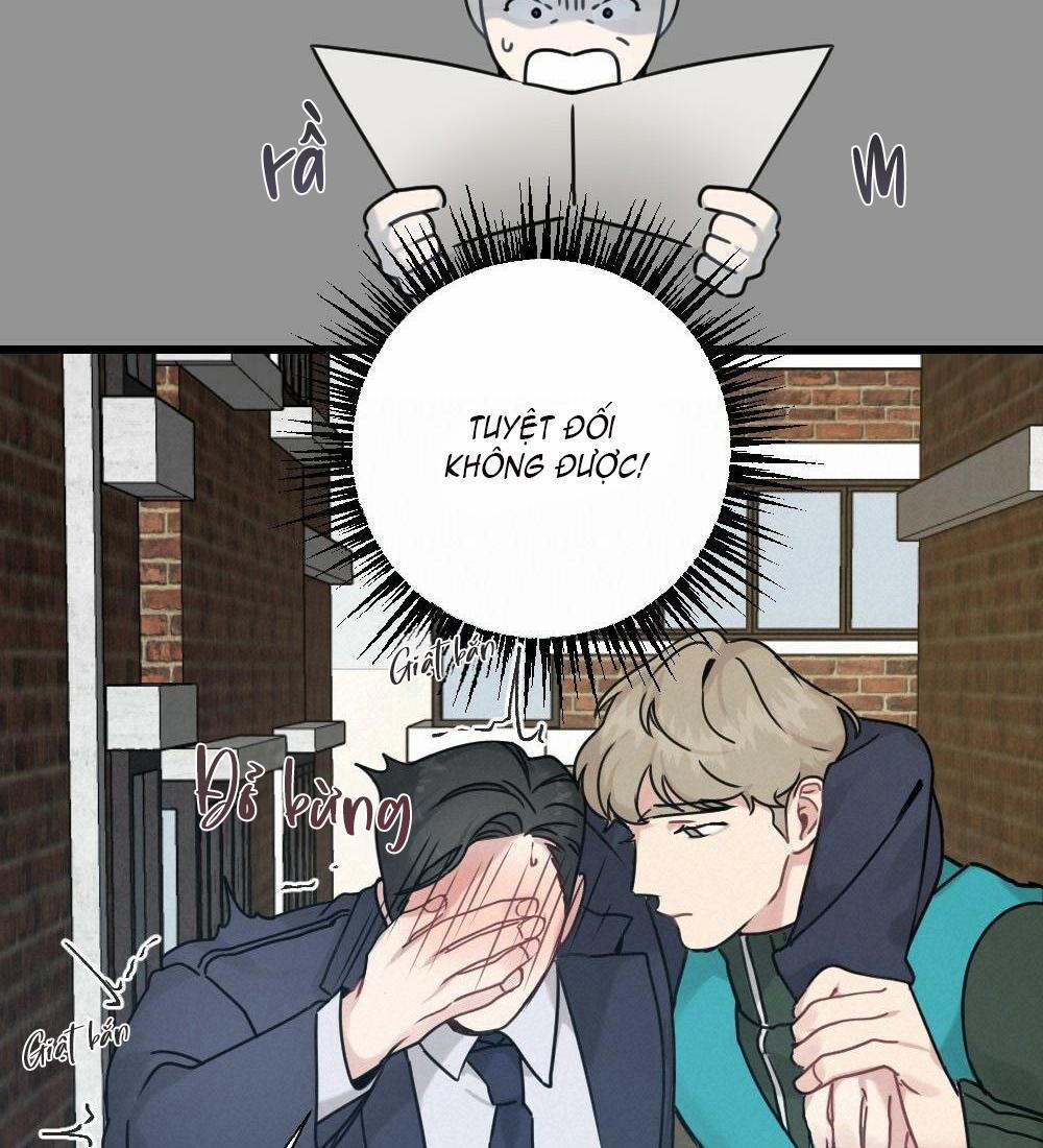 CHĂM SÓC 26 trang 17