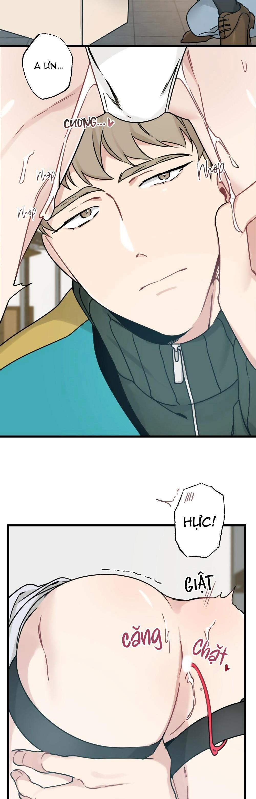 CHĂM SÓC 27 trang 2