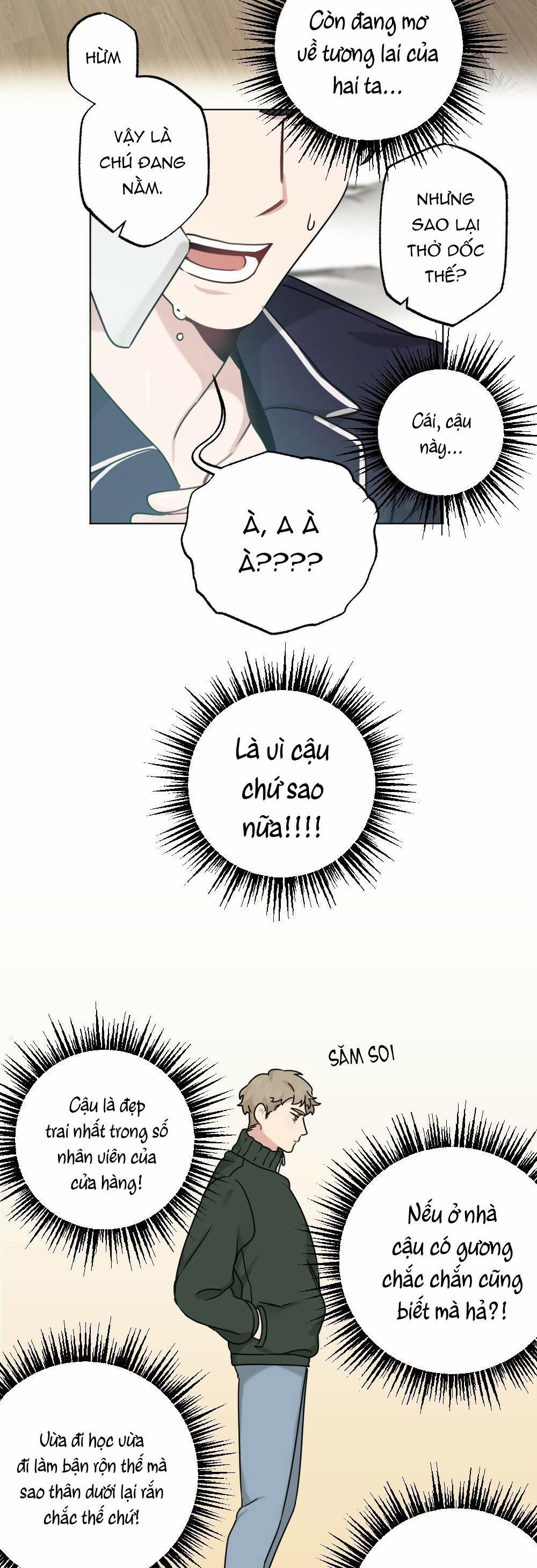 CHĂM SÓC 28 trang 16